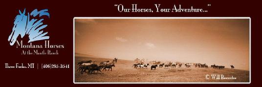 Visit Montana horses today!